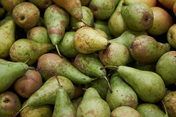 Pear fruit background, close-up. Healthy diet food. Agriculture concept