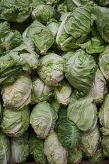 Fototapeta na wymiar Cabbage vegetable background, close-up. Raw cabbage in market, top view