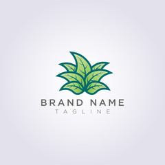 Creative leaf plant logo design for your business or brand