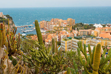 Monaco as seen from the Exotic gardens 