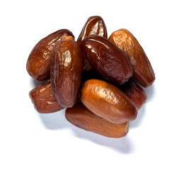 isolated date palm on white background
