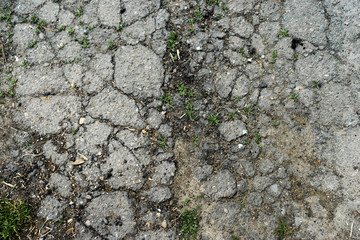 old broken asphalt overgrown with grass