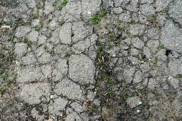 old broken asphalt overgrown with grass