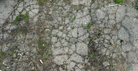 old broken asphalt overgrown with grass
