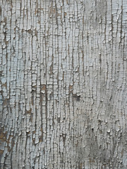 old wooden surface with peeling paint