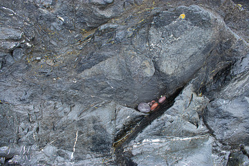 large boulder with a crack filled with water with pebbles submerged in it