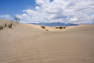 Fototapeta na wymiar Mesquite Flat Sand Dunes, south california, death valley