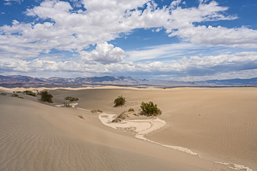Mesquite Flat Sand Dunes, south california, death valley