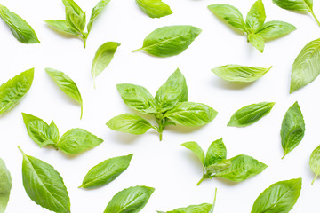 Fresh basil leaves on white.