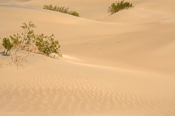 Mesquite Flat Sand Dunes, south california, death valley
