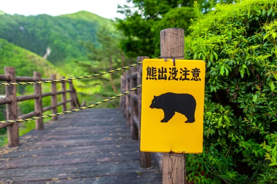 熊 出没 注意 看板 ワーニング Stock Photo Adobe Stock 熊 出没 注意 看板 ワーニング Stock Photo Adobe Stock