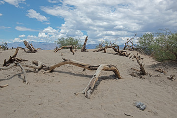 Mesquite Flat Sand Dunes, south california, death valley