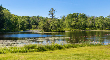 Small island near a swimming area
