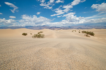 Mesquite Flat Sand Dunes, south california, death valley