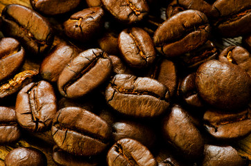 Coffee seed close up