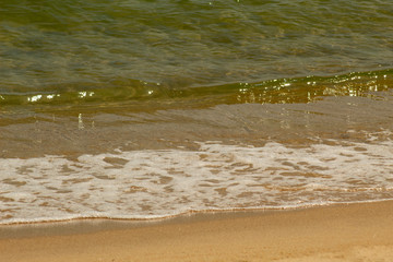 wave on the beach nature sea