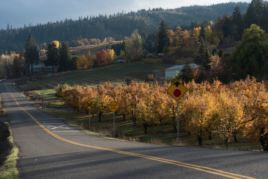 Country Road in Odell, Oregon in Autumn