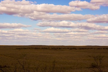 Obraz premium The extraordinary landscape of the steppes of Kalmykia. Over the boundless steppe float bizarre Cumulus clouds.