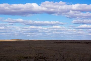 Fototapeta na wymiar The extraordinary landscape of the steppes of Kalmykia. Over the boundless steppe float bizarre Cumulus clouds.