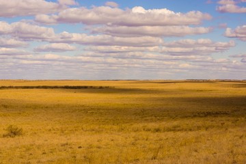 Fototapeta premium The extraordinary landscape of the steppes of Kalmykia. Over the boundless steppe float bizarre Cumulus clouds.