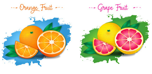 Set of vector illustration oranges and grape fruit