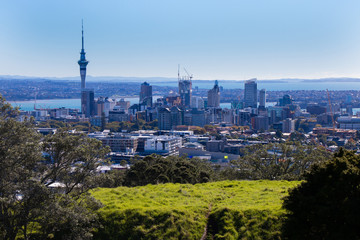 Obraz premium Whole city view at Mt. Eden in Auckland, New Zealand