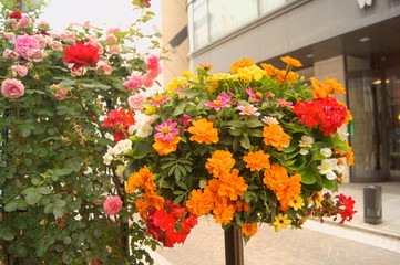 Fototapeta na wymiar とても綺麗な花籠の花