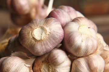 Spicy cooking ingredient garlic for thai food