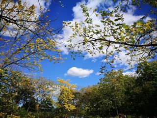 autumn sky