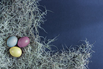 easter eggs on nest with dark background