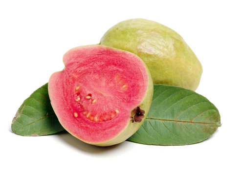 Pink guava isolated on white background