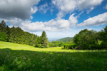 Landschaft bei Sasbachwalden im Schwarzwald
