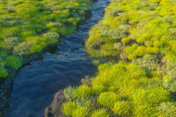 The river between the mountains in a sunny day, 3d rendering