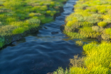 The river between the mountains in a sunny day, 3d rendering