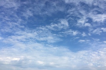 clouds, sky blue background. cloud blue sky.