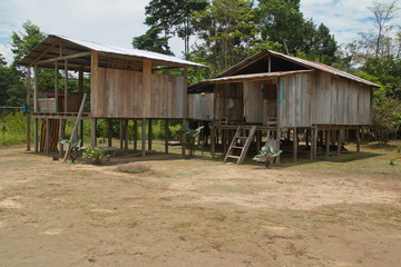 Fototapeta premium Houses in the village San Antonio de Cacao at Amazonas river in Peru