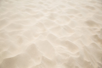 Fine beach sand in the summerBackground with copy space and visible sand texture.