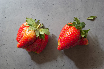 Ugly food. Organic homegrown strawberries on gray cement background. Strange funny imperfect fruits and vegetables, misshapen produce, food waste concept. Top view, copy space.