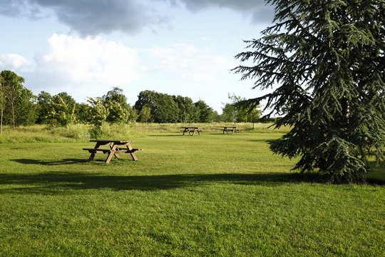 Park bench in late evening light with long shadows.