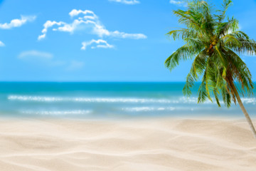 Naklejka na ściany i meble Beach with blurry blue ocean and sky,palm tree background ,Summer Concept .