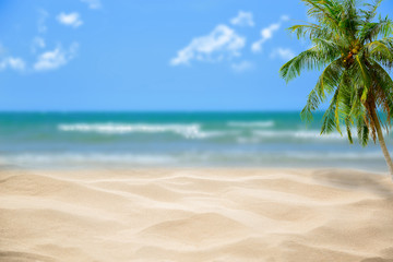 Obraz na płótnie Canvas Beach with blurry blue ocean and sky,palm tree background ,Summer Concept .