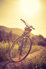 Fototapeta na wymiar Sundown scenery on a field: Blue bike and meadow