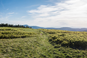 nature landscape, Stübenwasen  1386 m ü. NHN. beautiful mountain in black forest germany with...