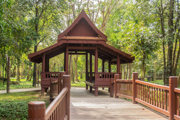 Thai house built from wood is popular for Thai people both past and present in Thailand
