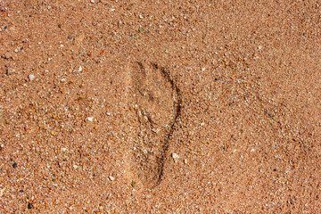 Fototapeta na wymiar Footprint on the sea sand