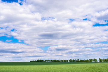 picturesque view of green field with white fluffy clouds on blue sky at sunny day 