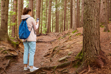 Back view of experienced traveller standing in middle of forest, getting lost, looking for way out, using her smartphone, taking photo, recording video for travel blog, spending time with nature.