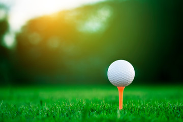 golf ball on tee in a beautiful golf course with morning sunshine