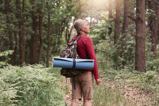 Camp, Adventure, Traveling, Active Recreation Concept. Eldery Man With Backpack And Rug Hiking In Forest, Standing Among Trees In Wood, Enjoys Fresh Air And Wild Nature, Like To Spend Time Backpacking