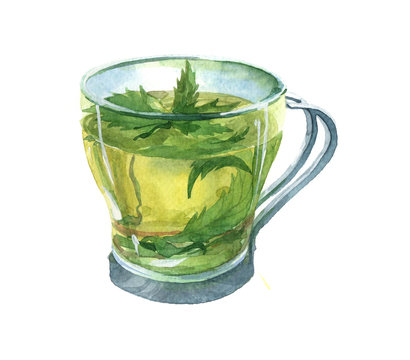 Watercolor realistic green tea cup isolated on a white background illustration.